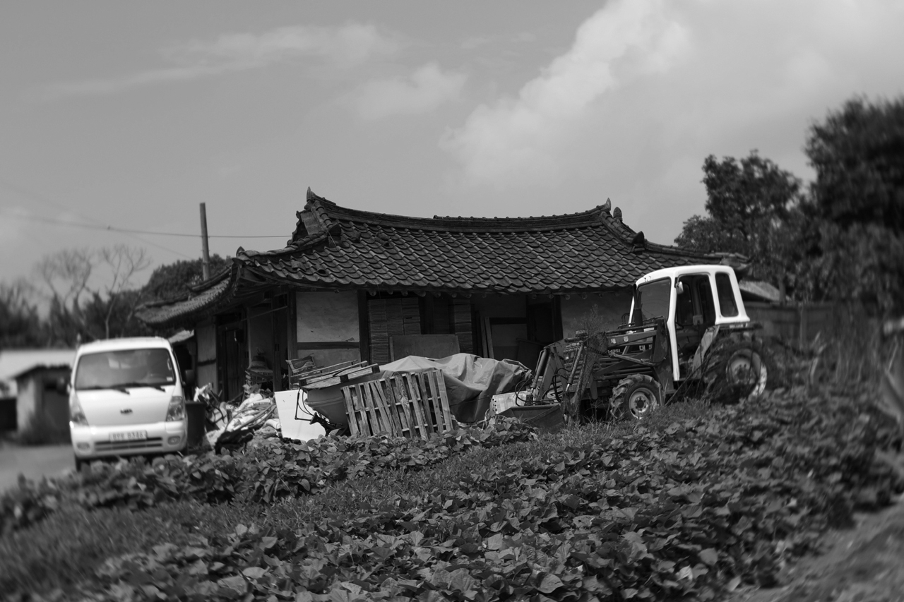 기와집의 모양이 그래도 제법 고풍스럽다. 이런 건물들이 잘 보존되고 이어져왔다면 우리네 농촌풍경도 볼만했을 터인데 하는 아쉬움이 크다.