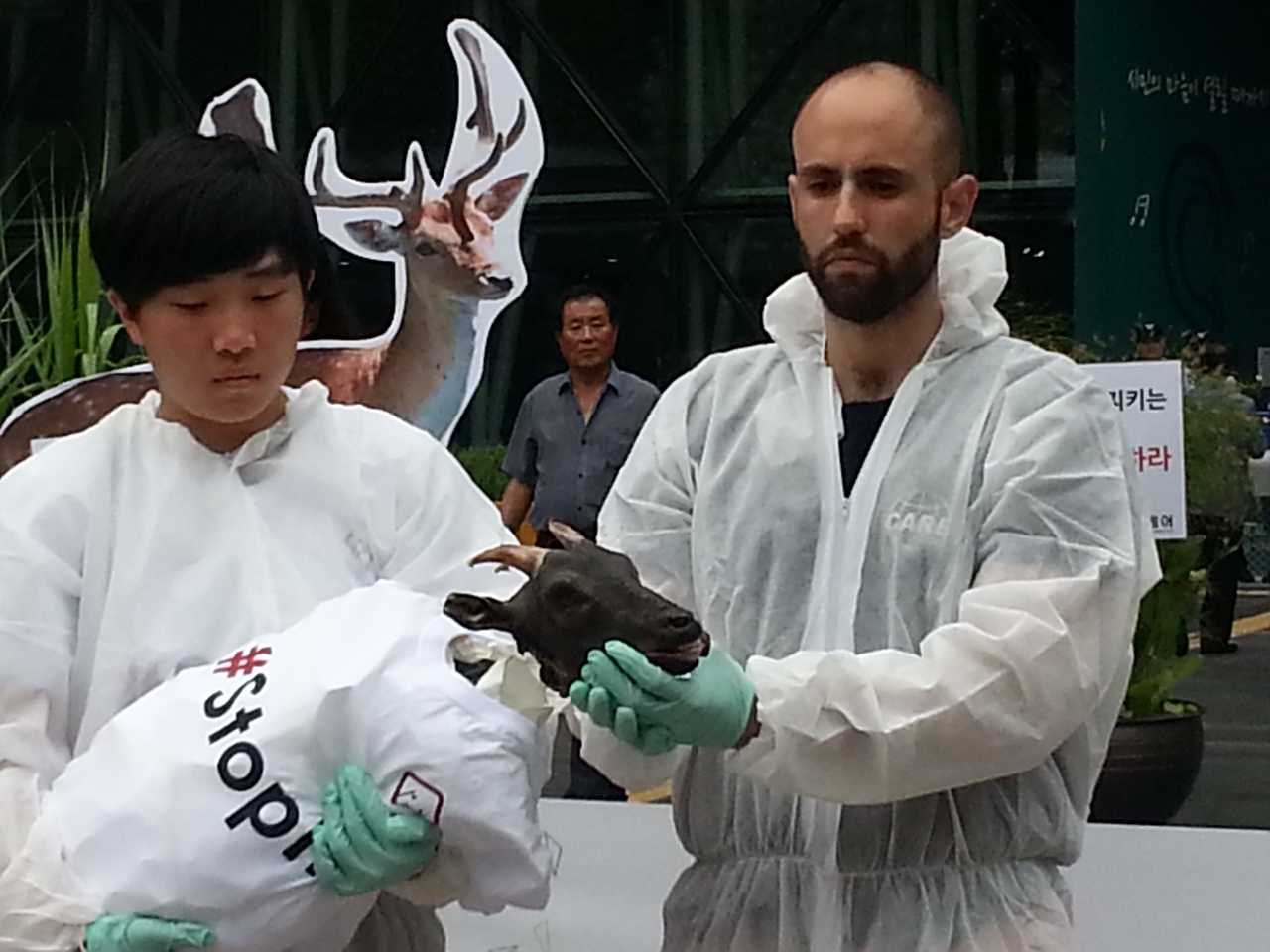 '케어'와 '동물을 위한 행동'은 매각된 후 농장에서 도축된 서울동물원의 새끼 흑염소 사체를 증거물로 입수, 지난 8월 20일 기자회견에서 공개했다.  
