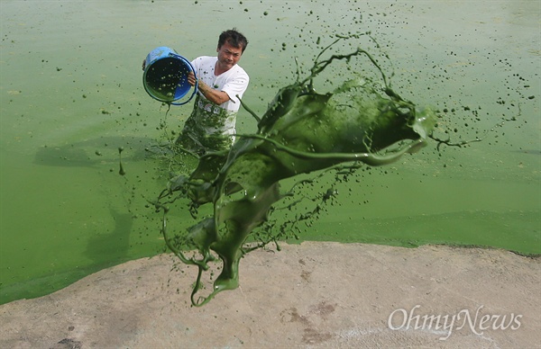 지난 8월 30일 낙동강 유역의 도동서원 앞 도동나루터에서 금강지킴이 김종술 시민기자가 낙동강에서 뜬 녹조 물을 뿌려보고 있다.