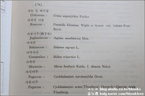  1972년에 나온 <민간약 개발에 관한 조사 연구>에 나오는 풀이름을 보면, '학술 이름'을 밝힐 적에 제대로 흘림꼴로 적는다. 이렇게 해야 올바르다. 그리고, 풀이름이나 나무이름을 살피면 '일본 학자' 이름뿐 아니라 '서양 학자' 이름도 많다. 서양 학자 이름도 따져야 하는가?