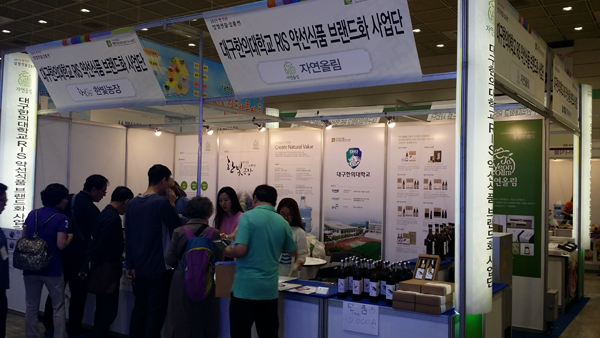 대구한의대 약선식품브랜드화사업단이 지난달 26일부터 4일간 서울 코엑스에서 열린 '2015 한가위 명절상품전'에서 홍보를 하고 있다.