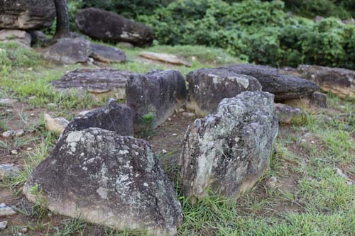 감태바위 채석장 부근의 고인돌 전시장. 갖가지 모양의 고인돌이 흩어져 있다.