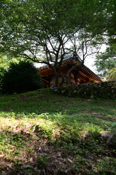 담양군 남면 연천리에 전신민이 1390년 전후에 건립, 주변의 원림은 1982년 10월 15일 전라남도기념물 제61호로 지정되어 있다