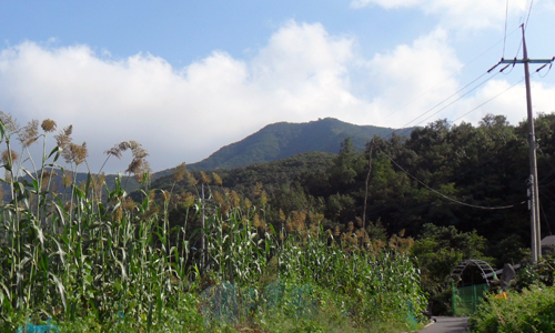 천제암궁지로 가는 마을길이 호젓하다. 멀리 보이는 산이 마니산이다.