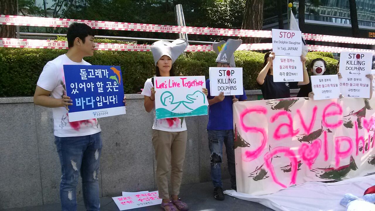핫핑크돌핀스는 여러 동물보호단체들과 함께 주한일본대사관 앞에서 다이지 돌고래 학살 중단을 촉구하는 기자회견을 개최했습니다.