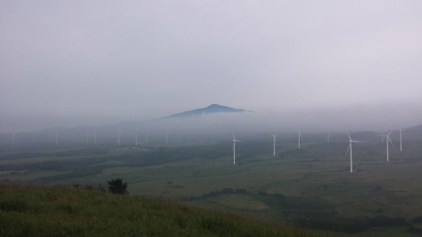  저 멀리 보이는 것이 한라산. 한라산을 감싸고 있는 안개가 그림 같다. 한라산 앞엔 풍차들이 있다. 