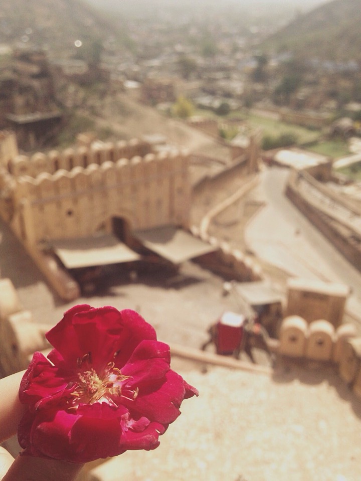  암메르 포트(Amber Fort)를 들어가는 입구에서 받았던 꽃 한송이 