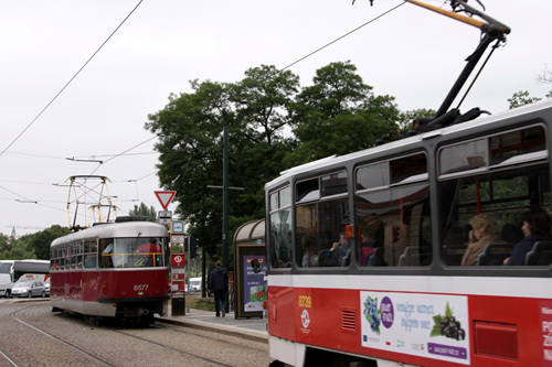 유럽에서는 트램이 교통수단으로 운행된다.