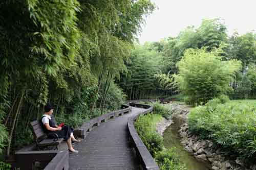 대숲에서 편안한 쉼. 그윽한 묵향 같은, 맑고 청신한 대나무의 기운이 전해진다. 담양에 있는 한국대나무박물관 대숲 풍경이다.