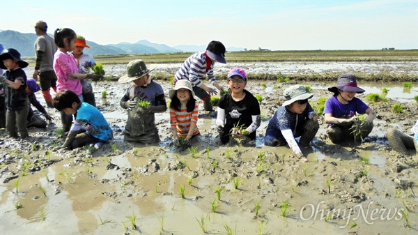 순천만에서 가장 가까운 인안초등학교는 매년 '흑두루미 논 가꾸기 프로젝트'를 진행하고 있다. 학생들은 모내기부터 수확까지 직접 참여해 '내가 사는 지역의 생태'를 몸과 마음으로 느끼고 있다.