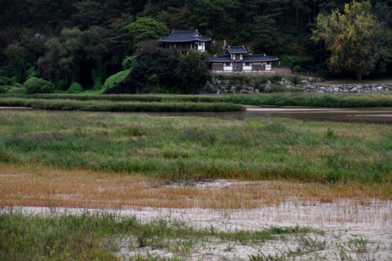  2015년 9월의 선몽대. 완전히 풀밭으로 변해버린 선몽대 앞 내성천. 경천동지할 일이다. 