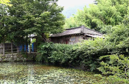보성 박곡마을에 있는 양산원의 집 터. 명량대첩을 앞둔 이순신이 조선수군 재건에 나서 군량미를 확보했던 곳 가운데 하나다.
