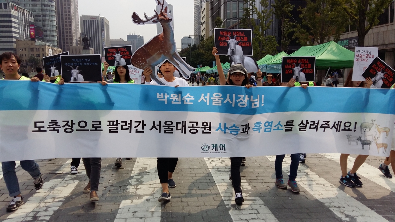 지난 20일, 케어와 시민들이 도축장으로 팔려간 서울대공원 사슴·흑염소를 위한 거리행진을 하고 있다.