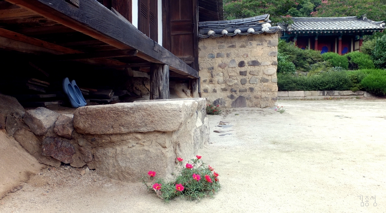 560년 된 가장 오래된 살림집, 서백당의 사랑채 누마루와 사당.