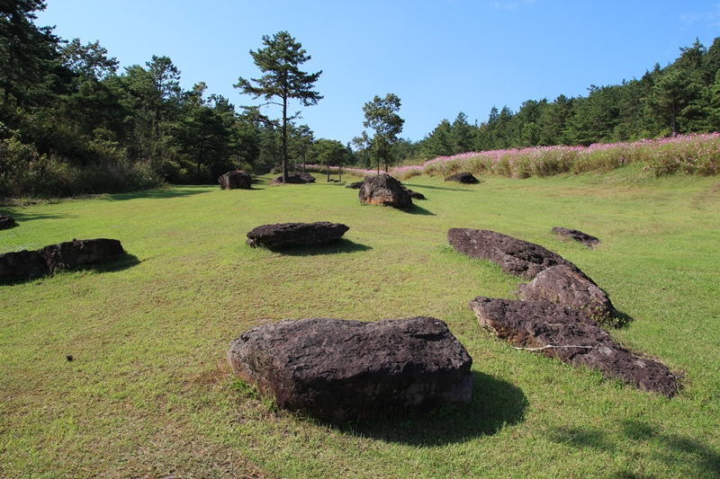 남방식 고인돌은 중부이남 지방에 많이 분포되어 있다. 
