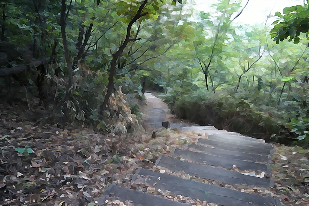 봉산 산책길