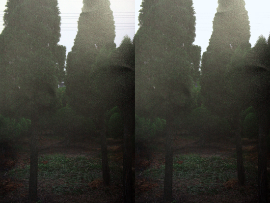 전깃줄과 나무 사이 집이 보이는 왼쪽이 이지영 작가의 실제 작품을 촬영한 것이고, 오른쪽은 기자가 전깃줄과 나무 사이의 집을 없애 조작한 것이다.