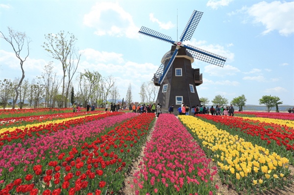 순천만 국가정원의 '네덜란드 정원'은 인기 있는 장소 중 하나다.