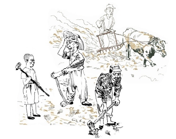 '보리띠' 깨 가며 보리갈이 하는 옛날 농부들