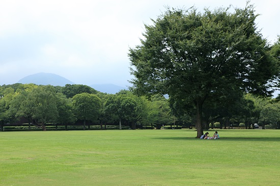 두 번째 성곽인 니노마루는 지금은 잔디가 깔린 넓은 광장으로 변했다.