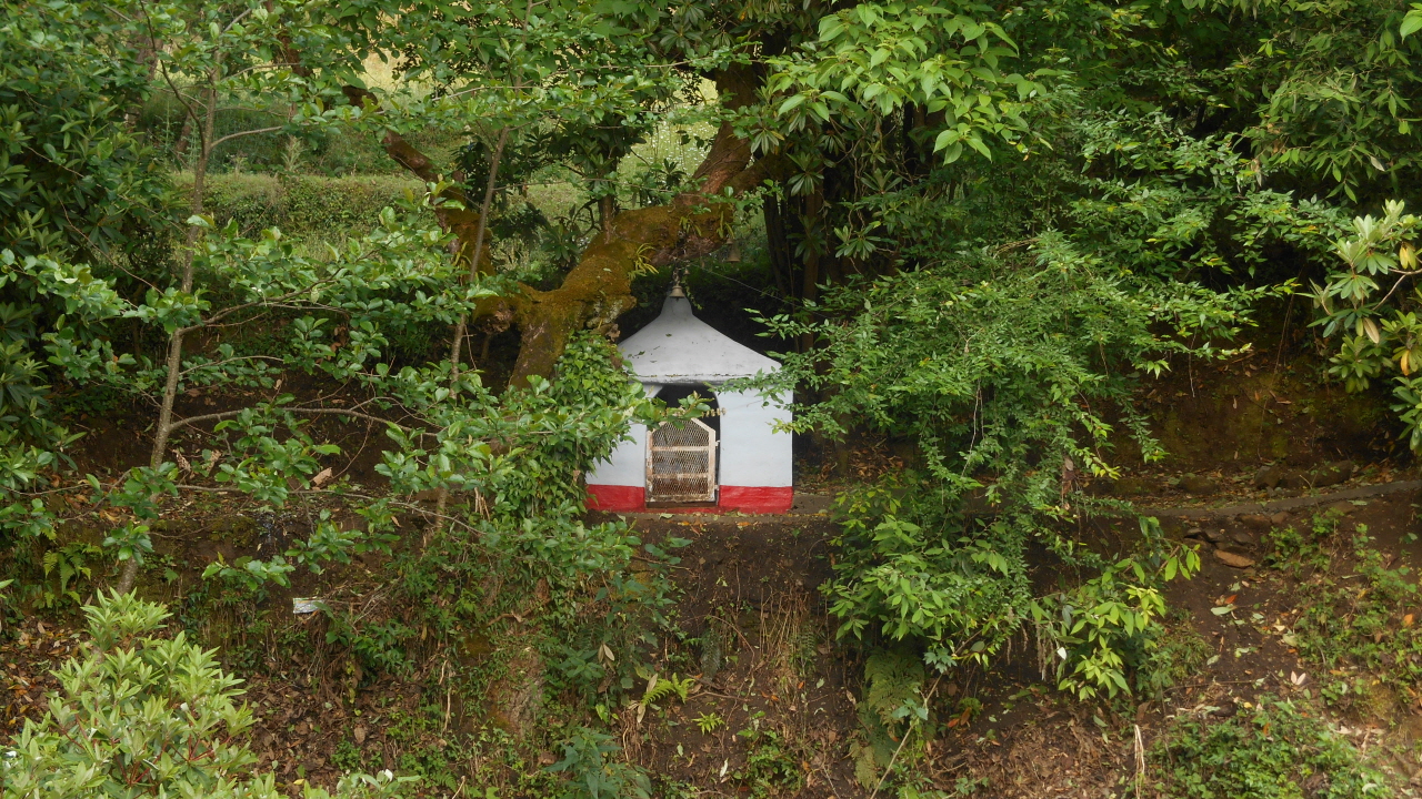 북인도 코사니의 시골에서 흔히 볼 수 있는 작은 성소.
