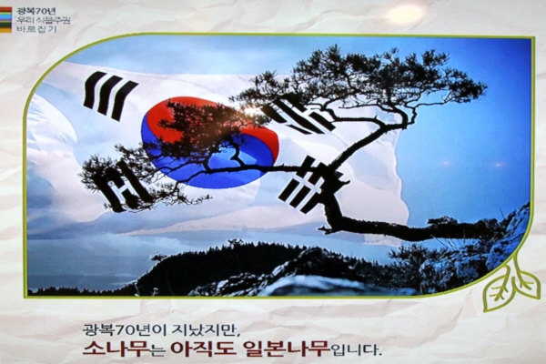 70년, 25,550일 한 사람이 고희연을 맞을 만큼 긴 시간 동안 한국의 소나무는 ‘JAPANESE RED PINE’으로 불리고 있다.