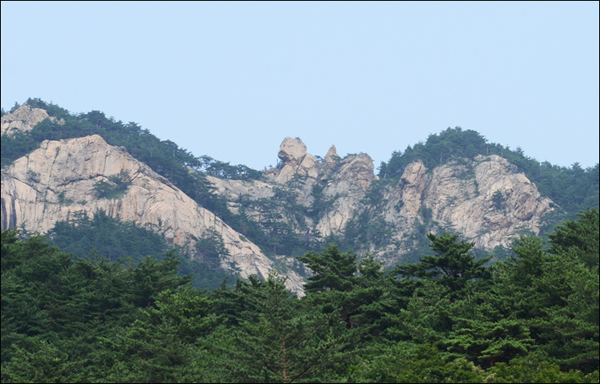 설악산 신흥사 극락보전 앞 맞은 편 산등성이에 곰을 닮은 바위가 있다.