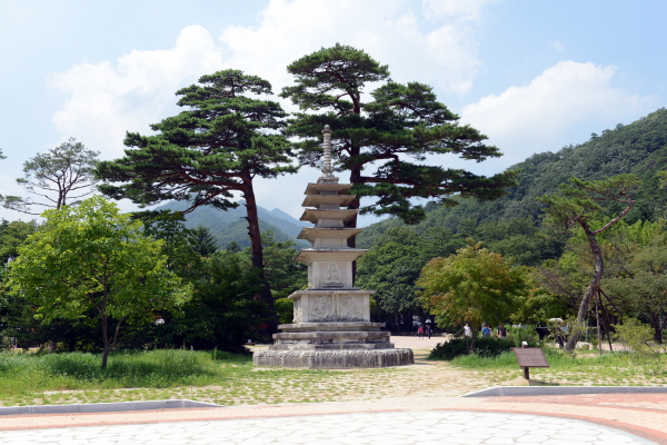 신흥사 입구에 선 5층석탑과 아름다리 소나무.