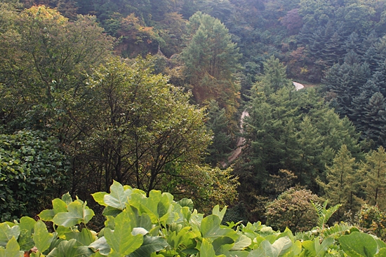 그 옛날 서울과 춘천을 오가던 길. 숲 속으로 희끗하게 모습을 드러내고 있는 석파령너미길.