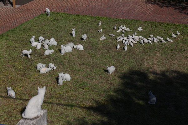 산청 성심원 대성당 앞 프란치스코 교육회관 입구 잔디밭에는 고양이와 비둘기 떼가 주인인 양 햇살에 샤워하거나 먹이를 쪼아먹고 있는 작품은 그저 평화롭다.