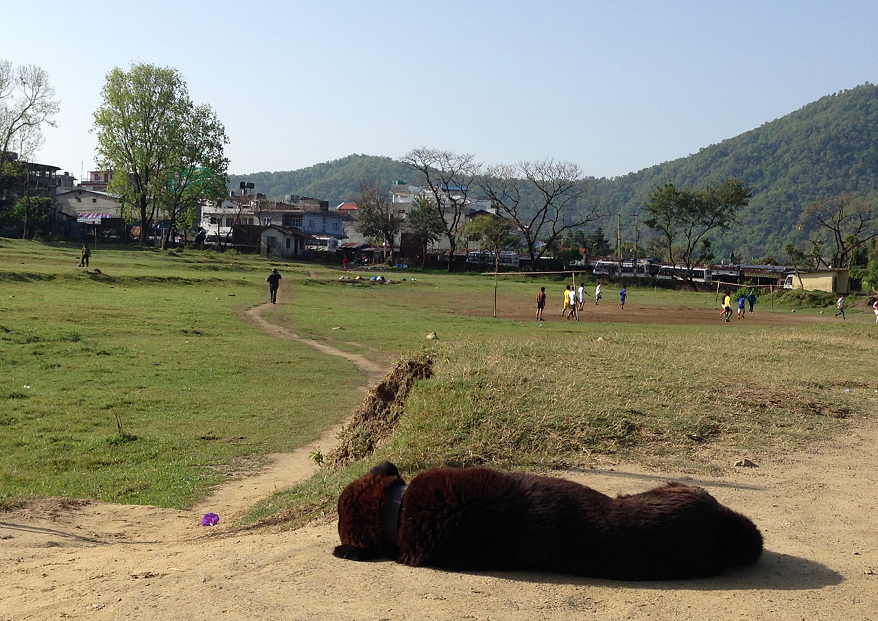 포카라 페와 호수 옆 공터에서 축구를 하는 아이들. 동네 강아지가 따스한 햇살을 받으며 낮잠을 자고 있다.
