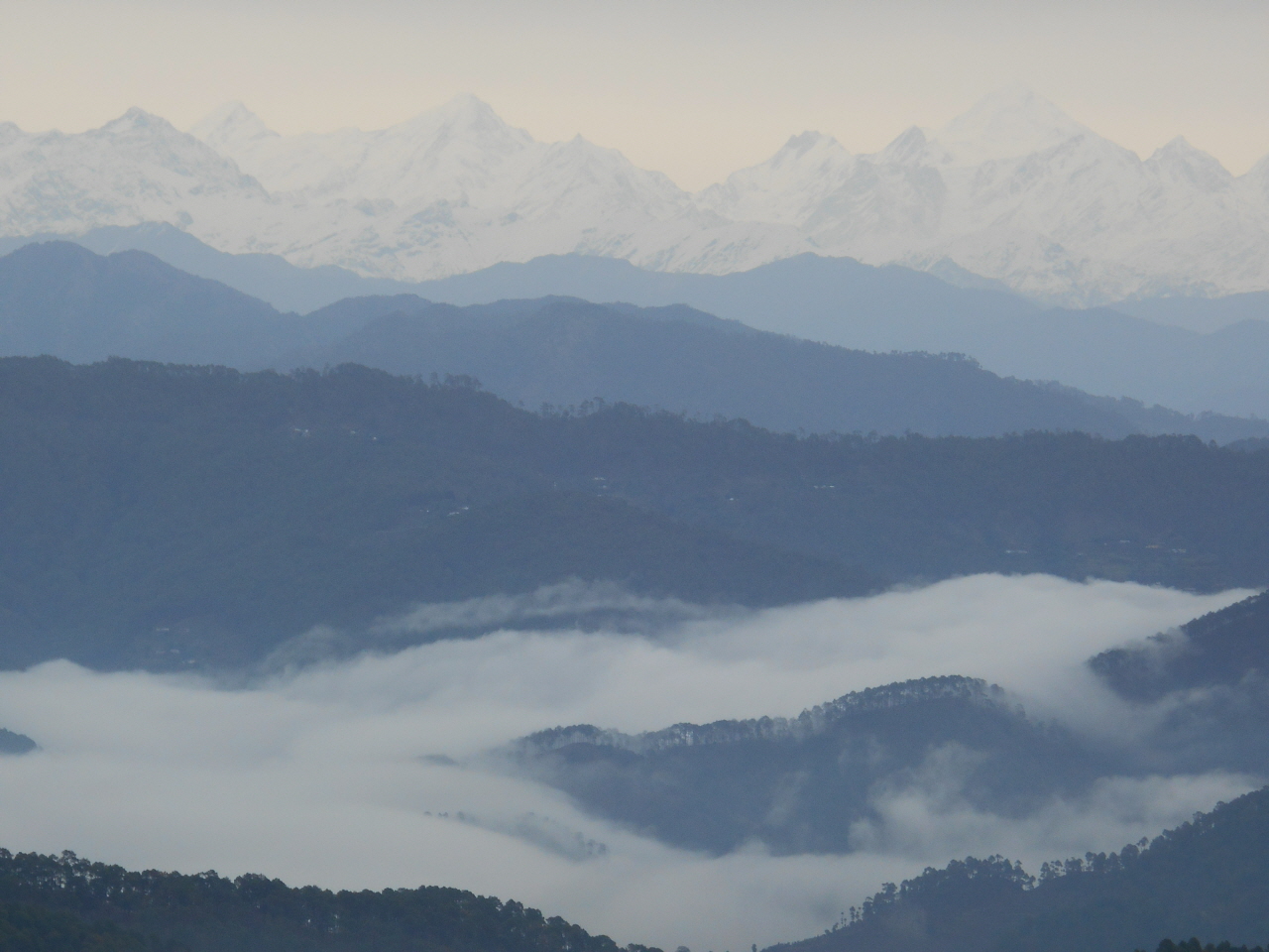 북인도 코사니 앞에 펼쳐진 히말라야 설산. 저 설산 아래 어딘가에 자리하고 있다는 네팔 국경의 산악지대를 트레킹하기 위해 매일 아침 걷고 또 걸었다. 