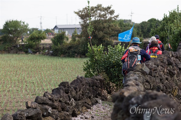  2015 제주올레걷기축제 첫날인 30일 축제참가자들이 김녕성세기해변~제주해녀박물관 코스를 걷고 있다.