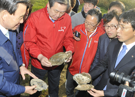 예당저수지를 찾은 김무성 대표가 가뭄으로 폐사한 멸종위기 야생생물 1급 ‘귀이빨대칭이’ 껍데기를 들어 살펴보고 있다.