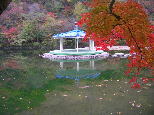 내장산 우화정의 아름다운 가을 풍경이다.  