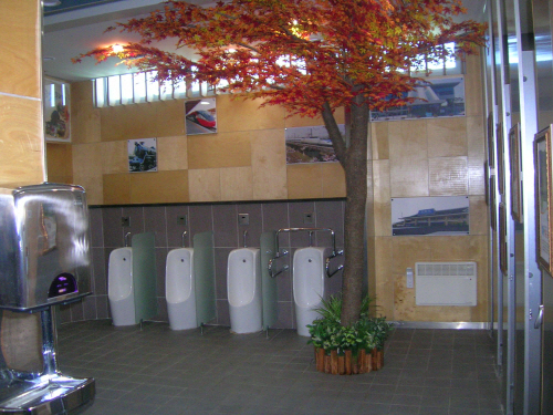 단풍 고장 답게 정읍역내 화장실도 단풍나무가 나그네를 반긴다.  