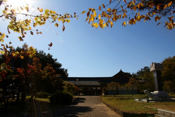  산청 목화시배지 기념관 정문을 들어서자 파란 하늘을 배경으로 나뭇잎들이 떨어진다.