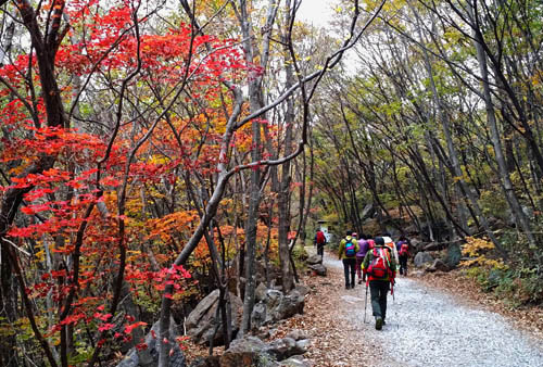 지리산 피아골의 가을. 사철 아름다운 피아골이지만, 온 산을 붉게 물들인 가을은 더욱 황홀하다.