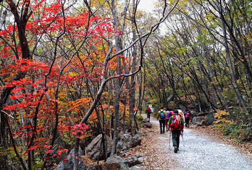  지리산 피아골의 가을. 사철 아름다운 피아골이지만, 온 산을 붉게 물들인 가을은 더욱 황홀하다.