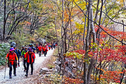 피아골은 지리산의 가을을 대표하는 계곡이다. 지난 1일 많은 여행객들이 피아골의 단풍을 즐기고 있다.
