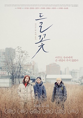 영화 <들꽃> 포스터 지난 5일 개봉한 영화 <들꽃>, 박석영 감독은 데뷔부터 '문제작'을 만들어 냈다.