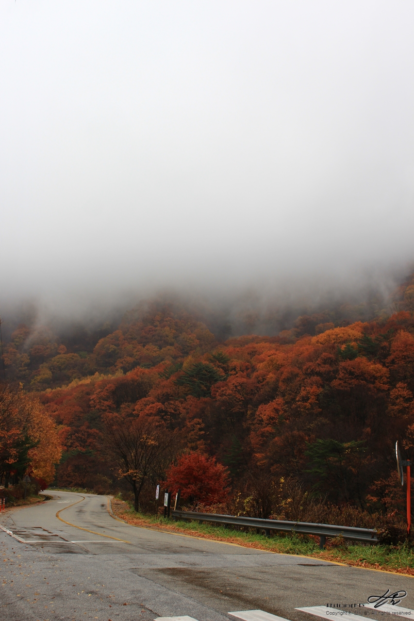 <디지털>뱀사골에서 인월가는 길. 가을 산이 수줍게 면사포를 쓰고 있다.