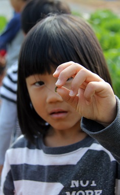 한 아이가 배추벌레를 들어 보이고 있다.