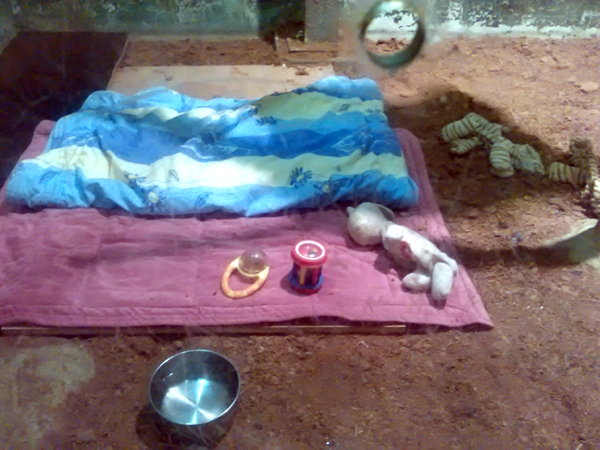 11년 동안 살던 집과 가족을 떠나 동물원에서 홀로 지내고 있는 '삼순이'의 방. 