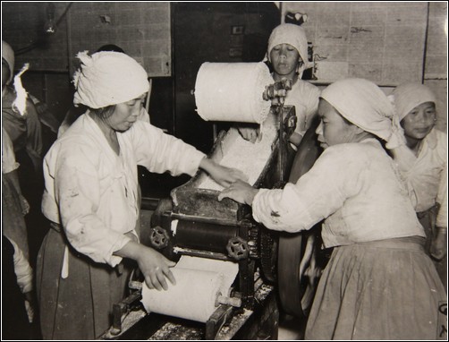 1945년 11월, 부산 국수 공장에서 여성노동자 모습