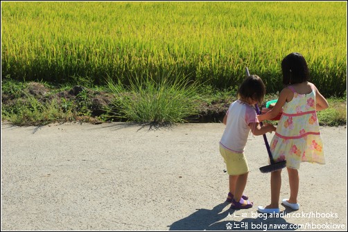 봄부터 겨울까지, 달마다 두 차례씩 아이들하고 빨래터와 샘터에 물이끼를 걷으러 간다.