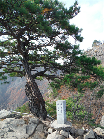     구봉산 제1봉 정상(668m).