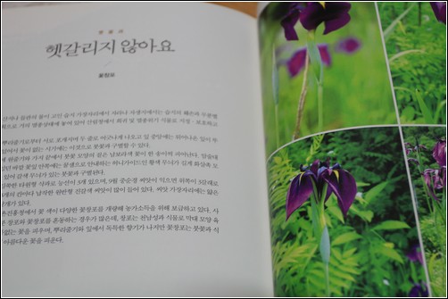  <모둠 모둠 산꽃도감>을 보면 '모둠'으로도 멧꽃을 이야기하고, "헷갈리지 않아요" 같은 이름으로, 안 헷갈릴 만한 '단일품종' 멧꽃도 이야기한다.