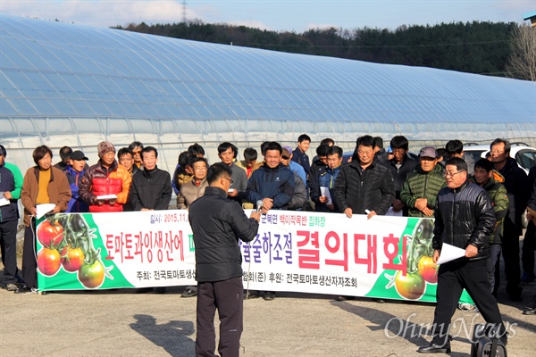 한국토마토생산자 자조회 경남연합회는 27일 오후 함안 군북 동촌리 들녘에서 "토마토 과잉 생산에 따른 산지출하조절 결의대회"를 열었다.