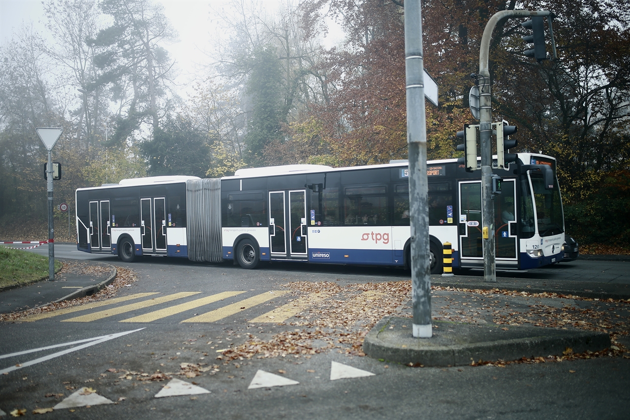 스위스제네바 스위스 제네바에서 만난 버스, 안개가 온 종일 자욱한 날이었다.